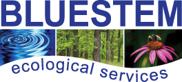 Bluestem Ecological Services