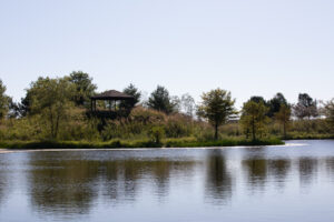 Gaze across the pond from the Gazebo or explore the walking path around this beautiful natural area. JPK.