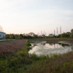 Industrial parks with naturalized shorelines provide areas for employees to take in a breath of fresh air between shifts. This basin has a heavy grass matrix of Little Bluestem along the Western (left) slope. JPK.