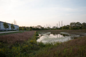 Industrial parks with naturalized shorelines provide areas for employees to take in a breath of fresh air between shifts. This basin has a heavy grass matrix of Little Bluestem along the Western (left) slope. JPK.