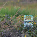 A "Native Plants. Do Not Mow" sign sticks out from a cluster of Indian Grass, Asters & Milkweed. JPK.