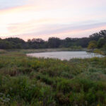 Naturalized detention in HOAs provides recreation opportunities like fishing and hiking, in addition to water filtration and stormwater management. JPK.