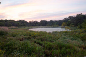 Naturalized detention in HOAs provides recreation opportunities like fishing and hiking, in addition to water filtration and stormwater management. JPK.